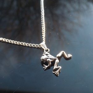 Necklace with FROG pendant.